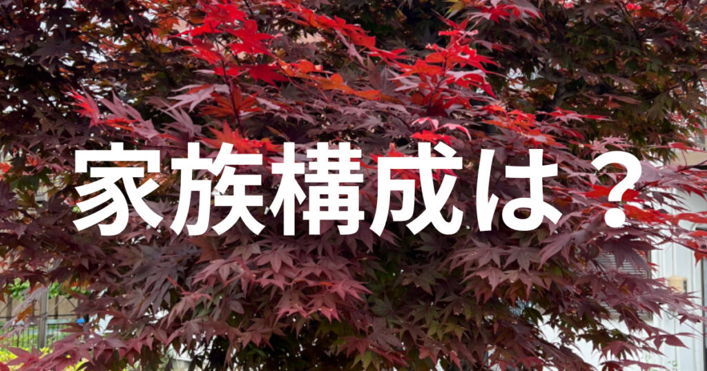 赤い葉っぱの木の画像